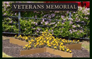 2025 Memorial Day Ceremony photo 12